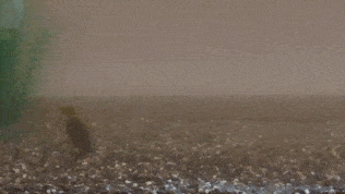 テキサスリグでボトムパンプをしている水中映像です。