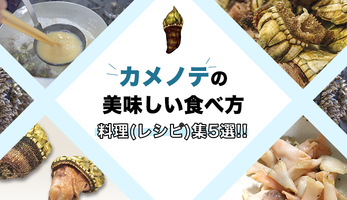 【必見】カメノテ(亀の手)の美味しい食べ方【料理(レシピ)集5選!!】