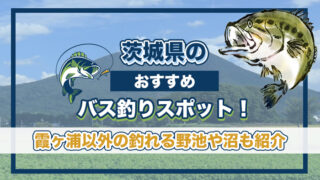茨城県のおすすめバス釣りスポット！霞ヶ浦以外の釣れる野池や沼も紹介。