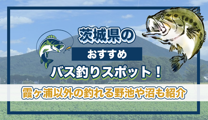 茨城県のおすすめバス釣りスポット！霞ヶ浦以外の釣れる野池や沼も紹介。