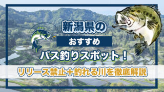 新潟県のおすすめバス釣りスポット！リリース禁止＋釣れる川を徹底解説。